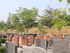 青龙公墓环境怎么样？青龙公墓12月墓地最新价格