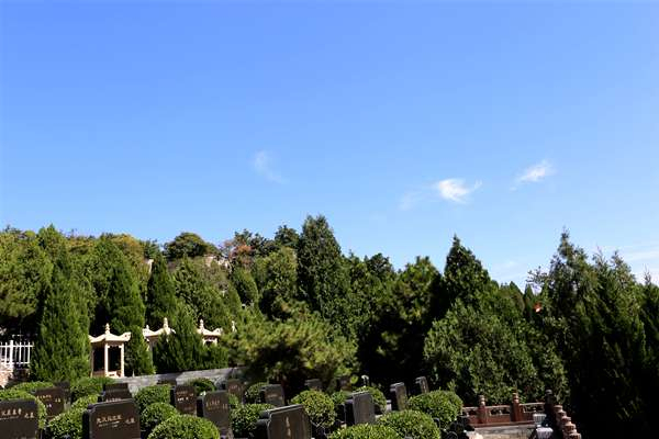 温泉墓园具体位置在哪？温泉墓园官方电话